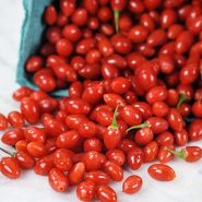 Goji Berry Seeds