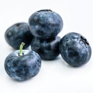 Blueberry Plants