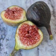 Fig Plants