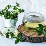 Mint Plants