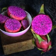 Dragon Fruit Plants