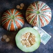 Melon Seeds