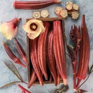 Okra Seeds