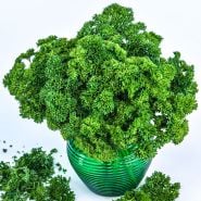 Parsley Seeds