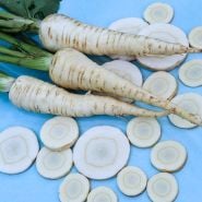 Parsnip Seeds