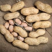 Peanut Seeds