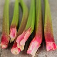 Rhubarb Seeds