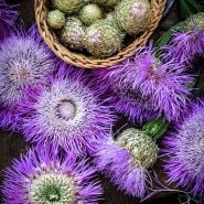 Basketflower Seeds