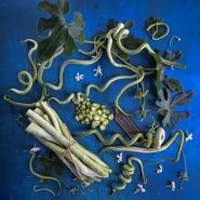 Snake Bean Seeds