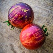 Tomato Seeds, Striped