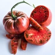 Tomato Seeds
