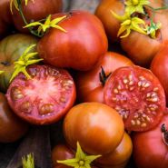 Tomato Seeds, Pink & Red