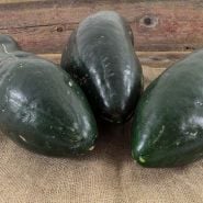Wax Melon Seeds
