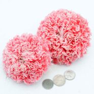 Poppy Seeds