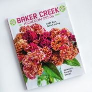 The 2025 Rare Seed Catalog on a white background.