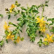 Saint John's Wort