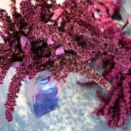 An arrangement of Hopi Red Dye Amaranth in a bottle on a dark background.
