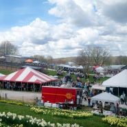 Crowd and vendors at the Baker Creek Tulip Festival.