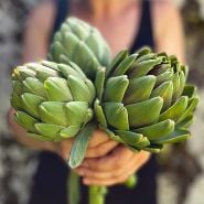 A woman holding out a trio of Green Globe Artichokes. Image Courtesy of Lucy Hutchins.