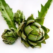 A trio of Green Globe Artichokes on a white background.