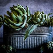 Green Globe Artichokes arranged in tin tub on a dark grey background.