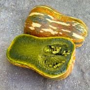An Ayote Green Flesh Winter Squash cut in half to show the green flesh.