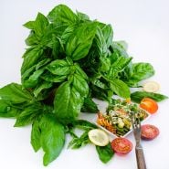 Fresh Genovese Basil with spiral pasta and tomatoes on white background.
