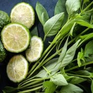 Lime Basil leaves surrounding limes on a jade background.
