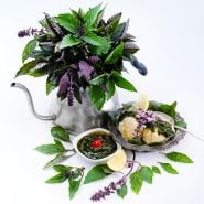 An arrangement of Persian Basil in a teapot with basil honey on ice cream.