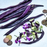 Cut and whole Blauhilde Beans arranged with blooms and coins on a light background.