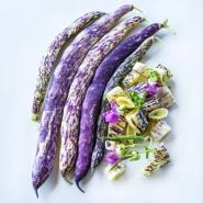 A detail of whole and cut Dragon Tongue Beans with blooms on white background.