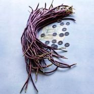 Chinese Red Noodle Long Beans with Cinese money on light blue background.