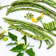 Sliced and whole Thai Soldier Long Beans with flowers on white background.