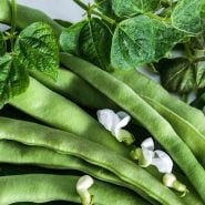A close-up of A close-up of Old Homestead Beans (Kentucky Wonder Pole) with foliage and blooms.