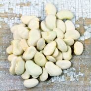 Dried white King of the Garden Lima Beans on white washed wooden background.