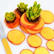 A closer view of Wintersonne Beet slices and a yellow handled knife.