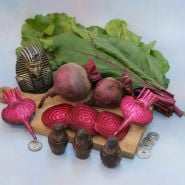 Whole and slices Crosby's Egyptian Beets with edible leaves on a light blue background.