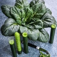 A head of Chijimisai with juiced Chijimisai in glass tubes with a Japanese knife.