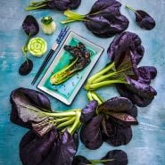 Purple Lady Bok Choy on blue background