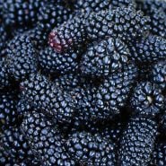 A close-up view of Boysenberry fruit. Image Courtesy of Shutterstock.