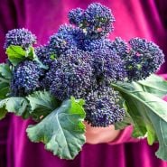 A girl holding a bouquet of Early Purple Sprouting Broccoli.