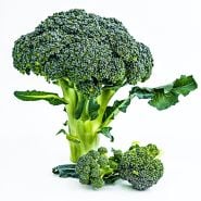 A single head of Rasmus Broccoli with florets on a white background.