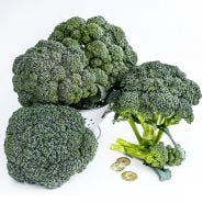 Rasmus Broccoli in a colinder surrounded by several heads on a white background.