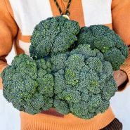 A gardener holding a massive bouquet of Rasmus Broccoliwith a crazy 70s sweater on.