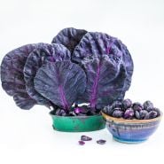 Red Rubine Brussels Sprouts in a ceramic bowl with leaves in an arrangement on a white background.