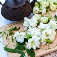 White Queen Butterfly Pea flowers and foliage with a cast iron teapot.