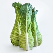 A trio of Filderkraut Cabbage heads on white background.