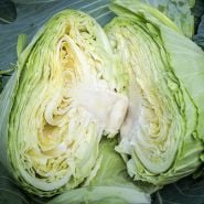 Brunswick Cabbage head sliced in half.