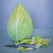 Cour di Bue Cabbage with blue background
