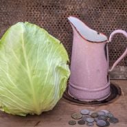 Cour di Bue Cabbage with water jug and coins for size reference